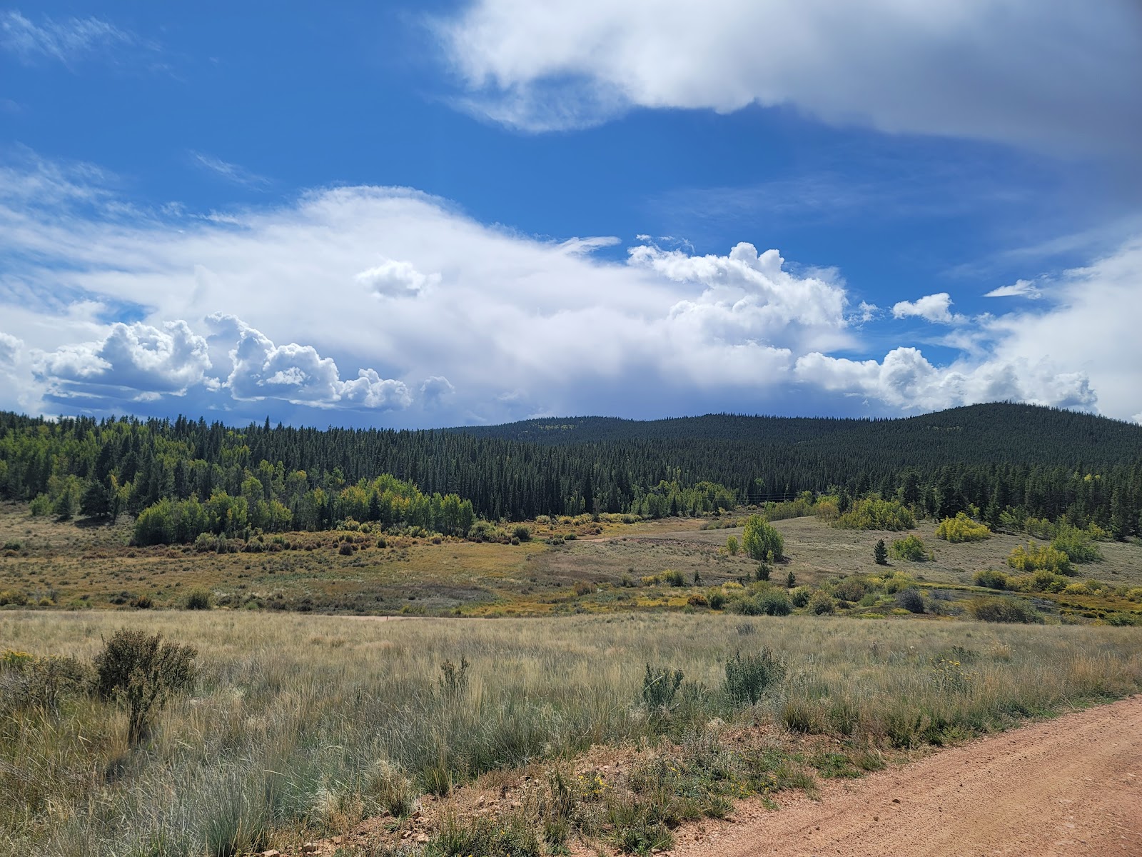 Timberline Campground