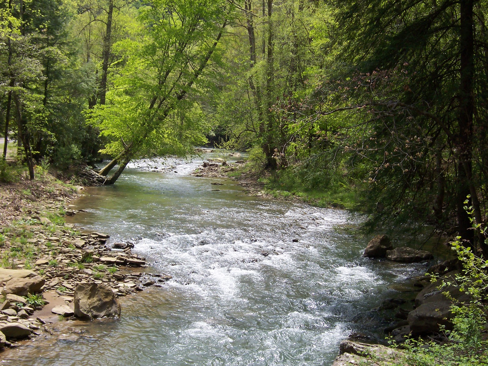 Panther Wildlife Management Area