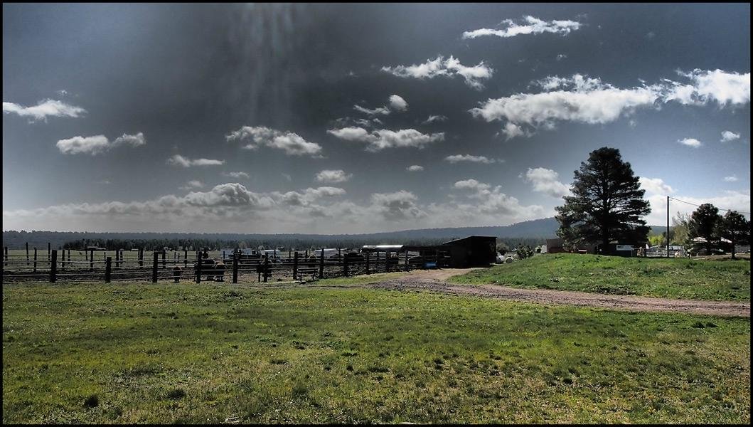 Mormon Lake Lodge RV Park and Campground