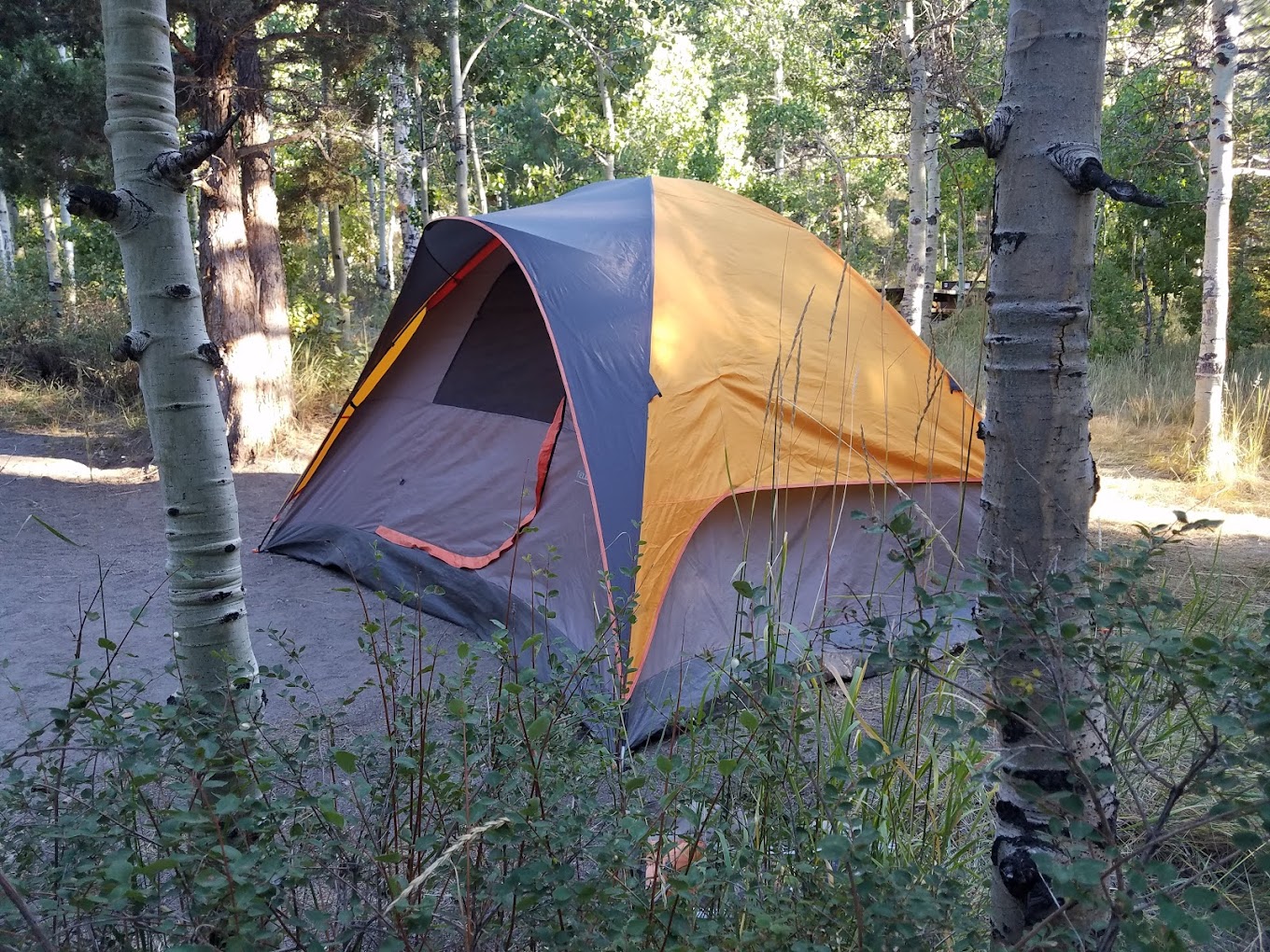 Reversed Creek Campground