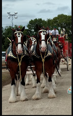 Washington County Fairgrounds