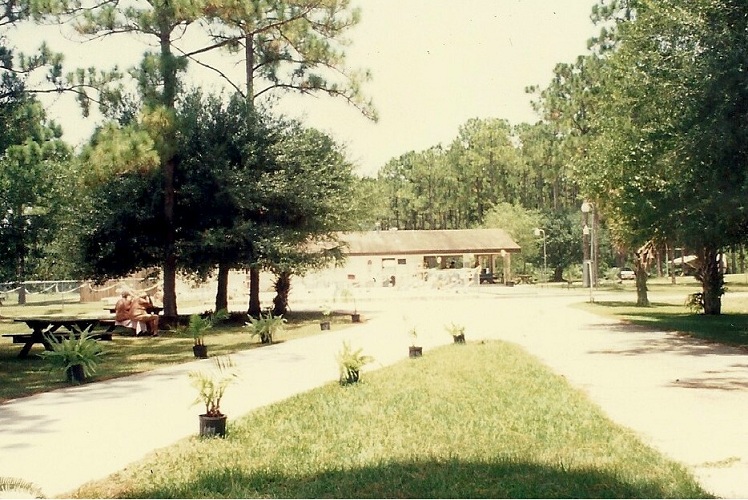 Sunnier Palms Member's Lodge