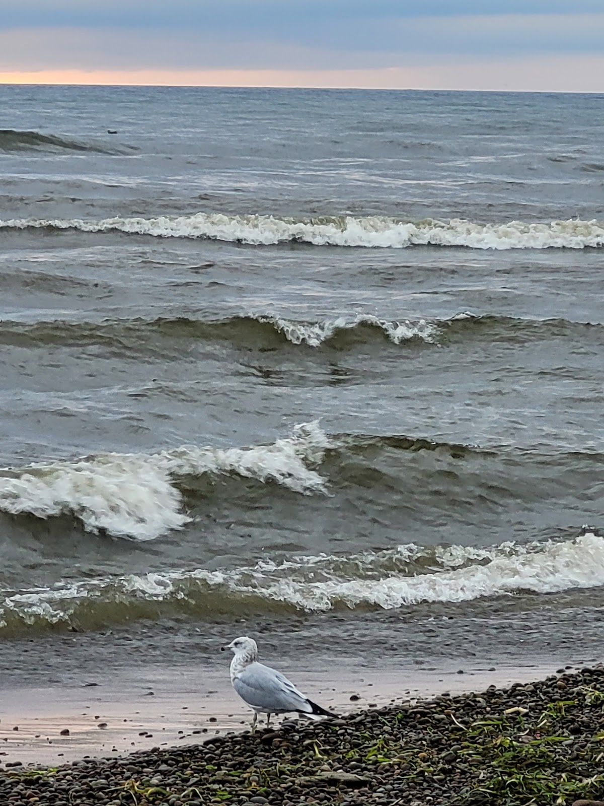 Brennan Beach RV Park