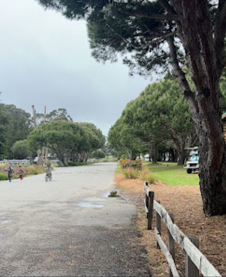 Costanoa Lodge and Camp