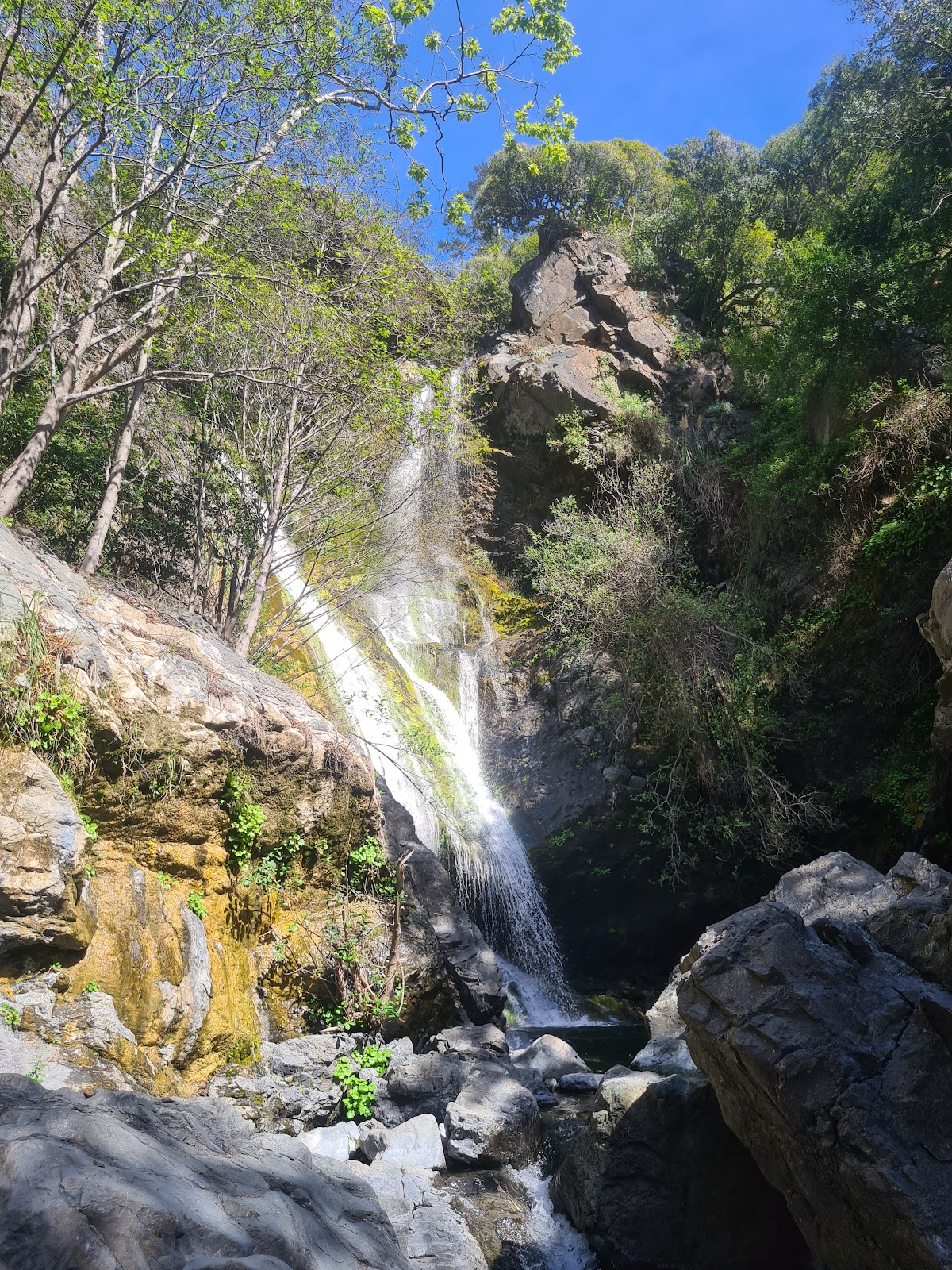 Salmon Creek Trailhead