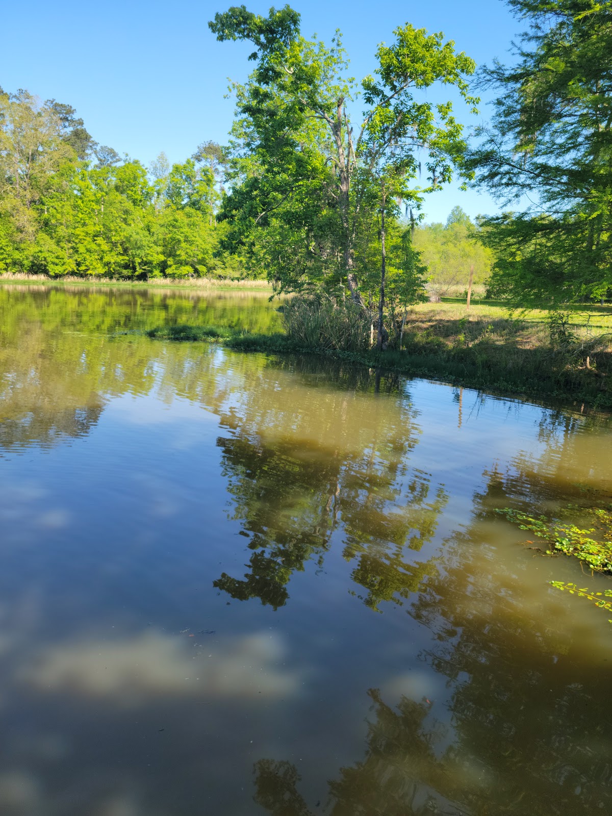 Faceville Landing Campground