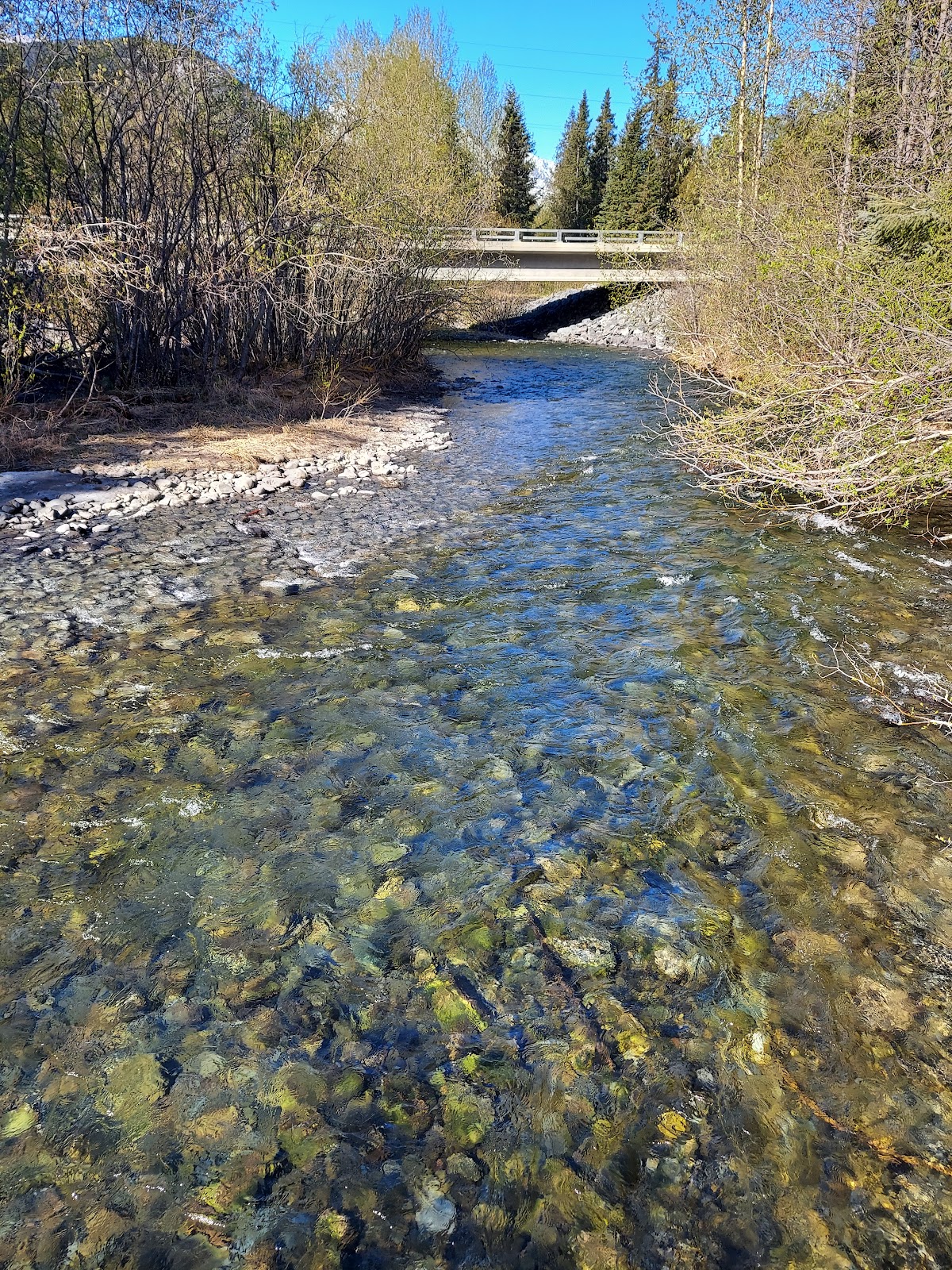 Ptarmigan NF Campground