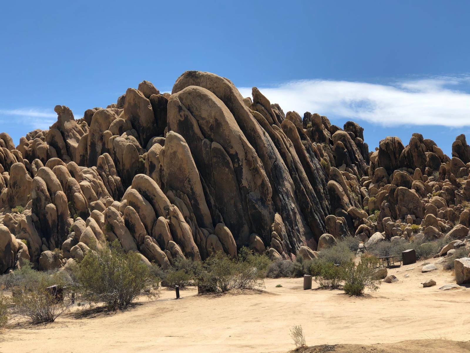 Horsemen's Center Park Campground