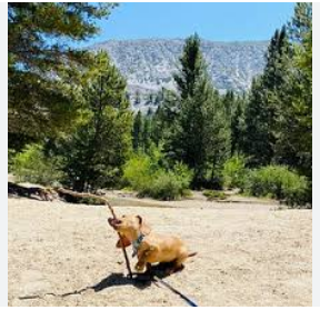 Rock Creek Lake (Inyo National Forest, CA)