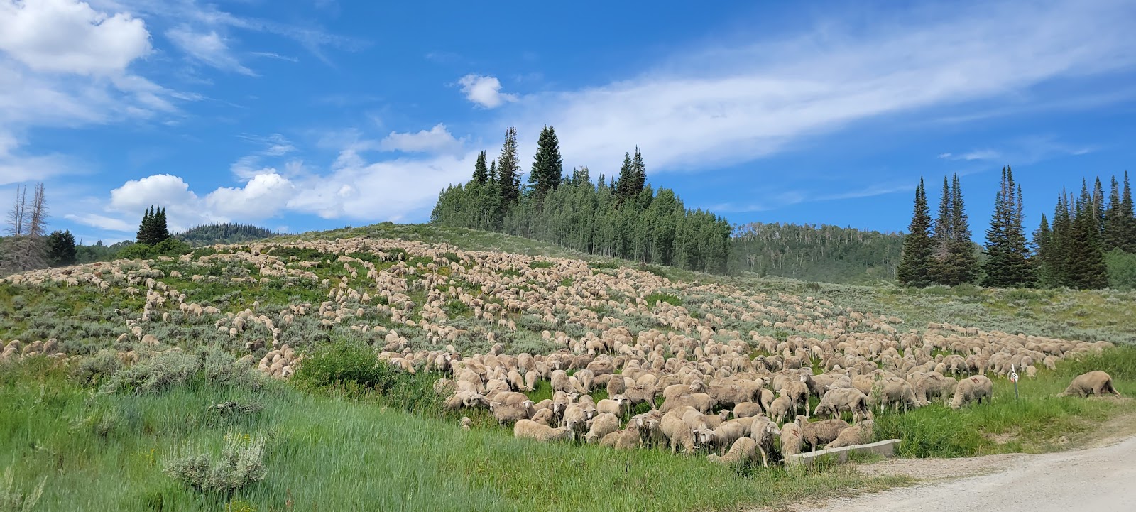 Potters Pond Campground