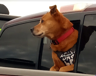 Camping World Of Berkley