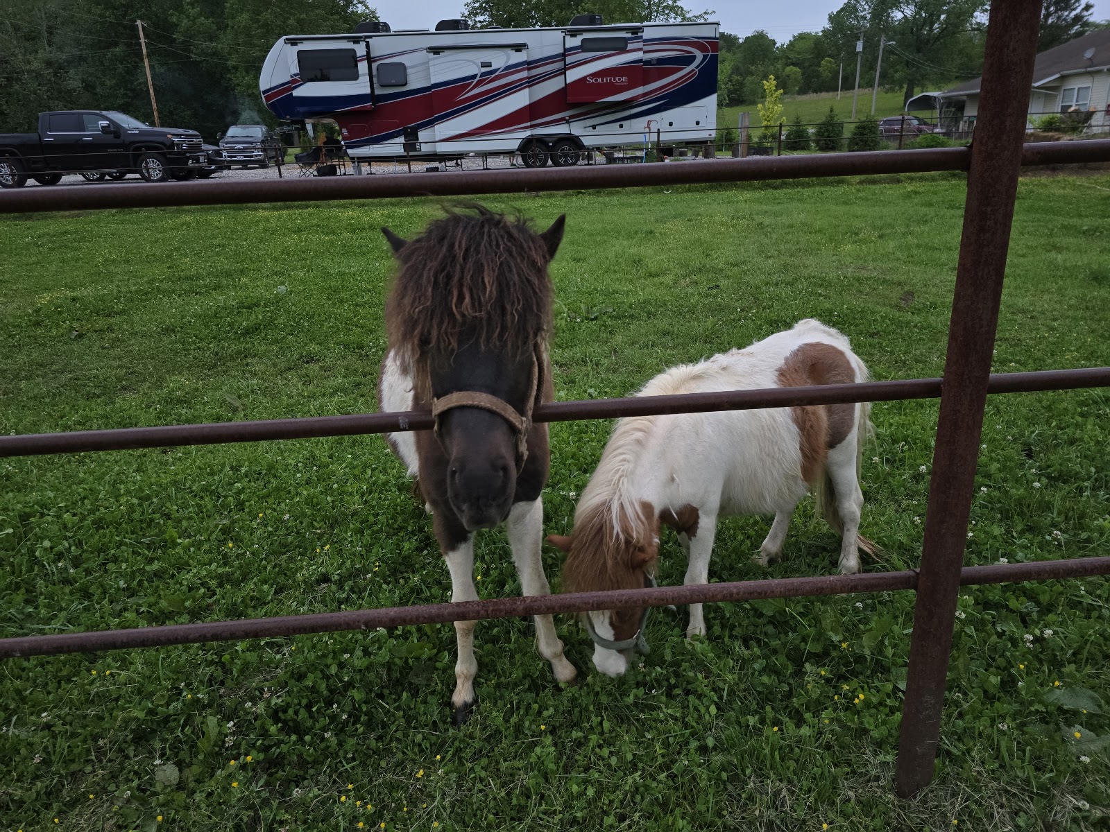 Saline Creek RV Park & Campground