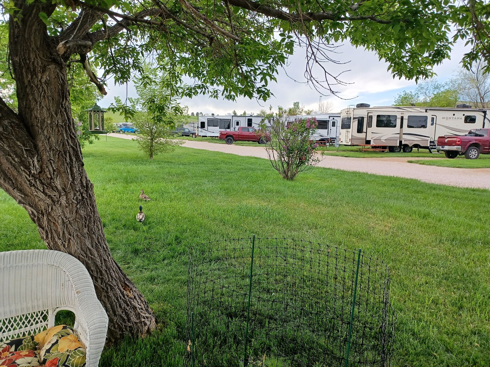 Peter D's RV Park