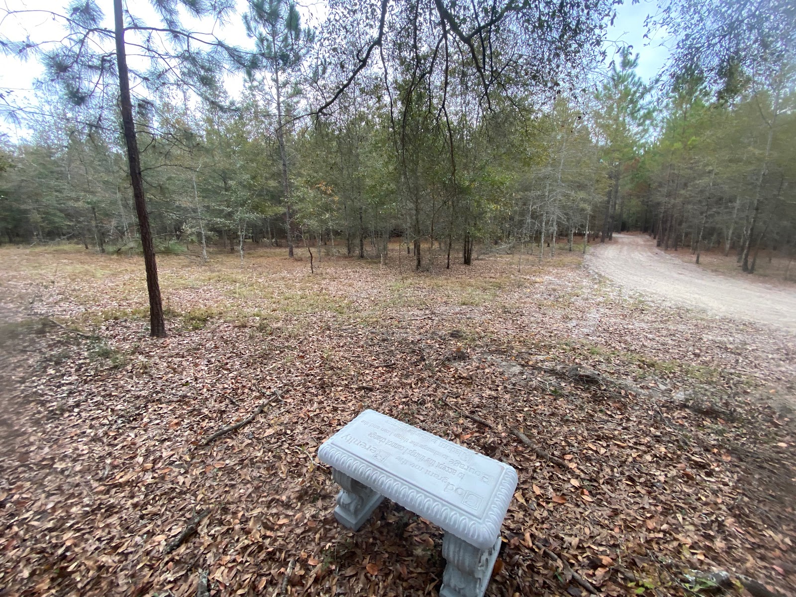 Hidden Forest RV Club Campground