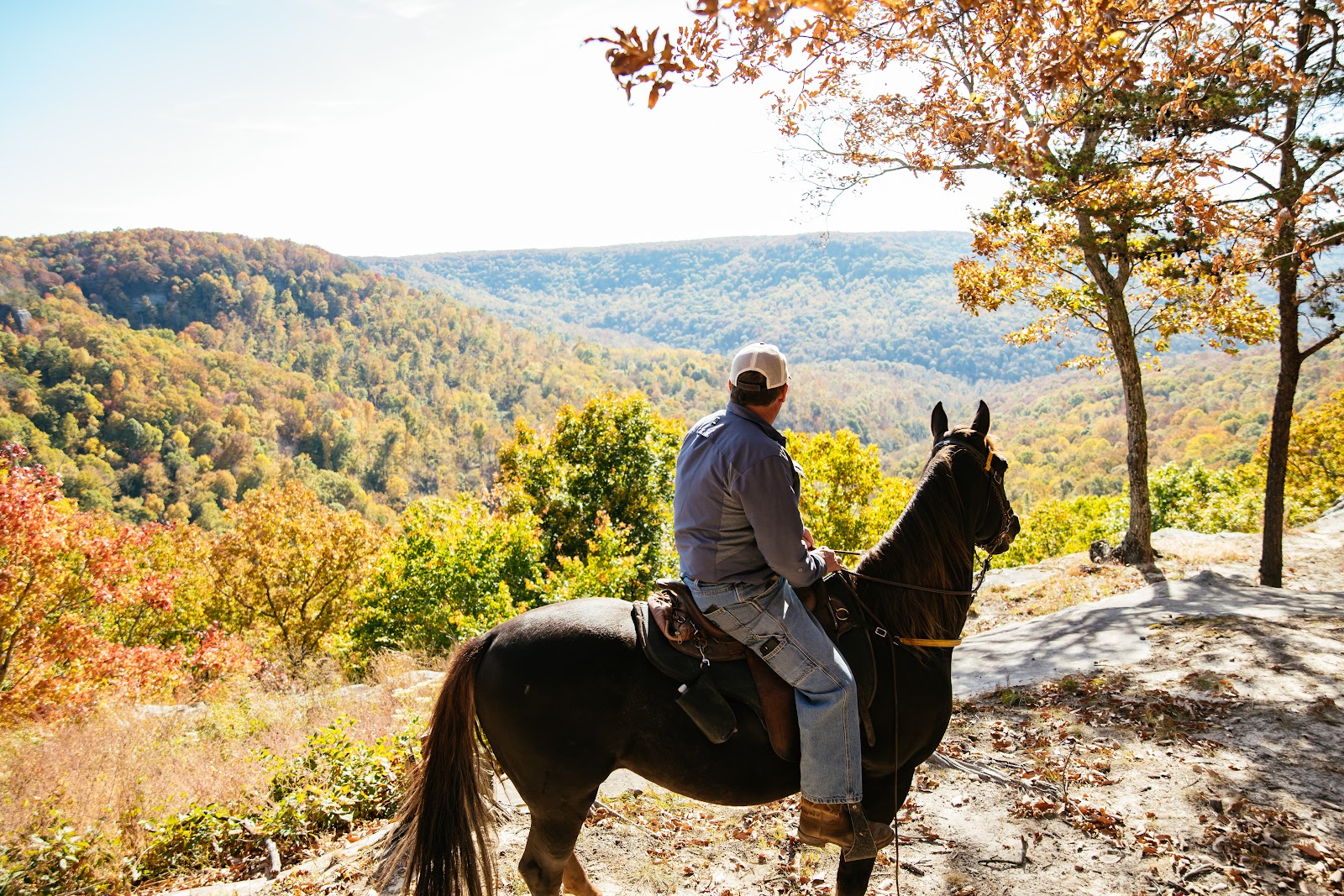 East Fork Resort & Stables