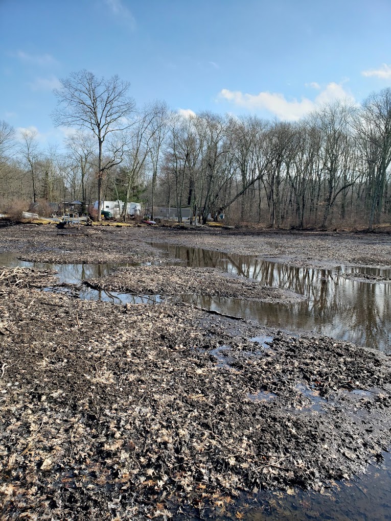 Lake Williams Campground