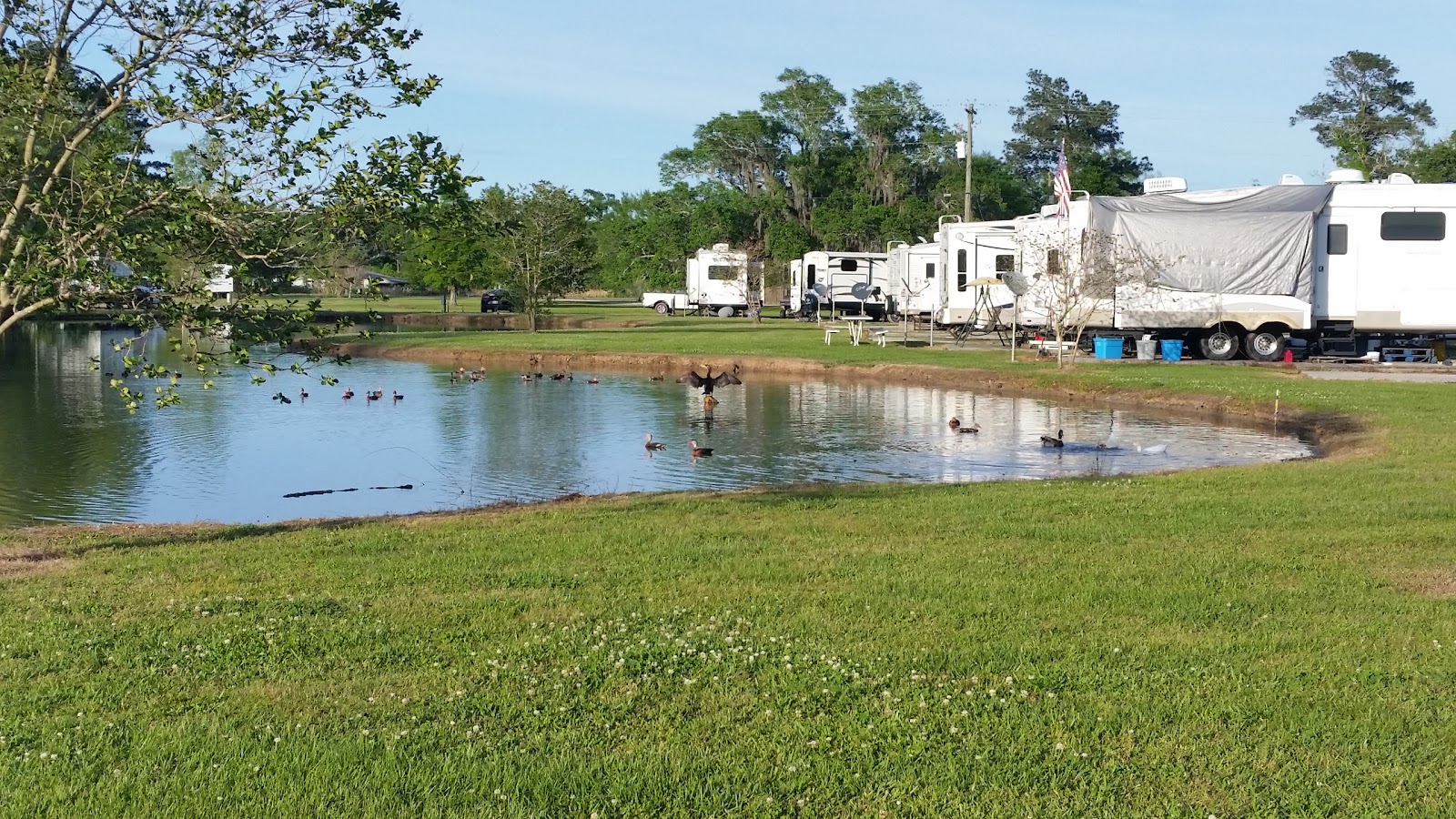 Tiger Oaks RV Park