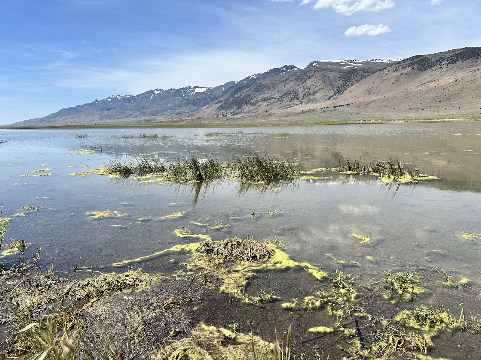 Mann Lake Campground