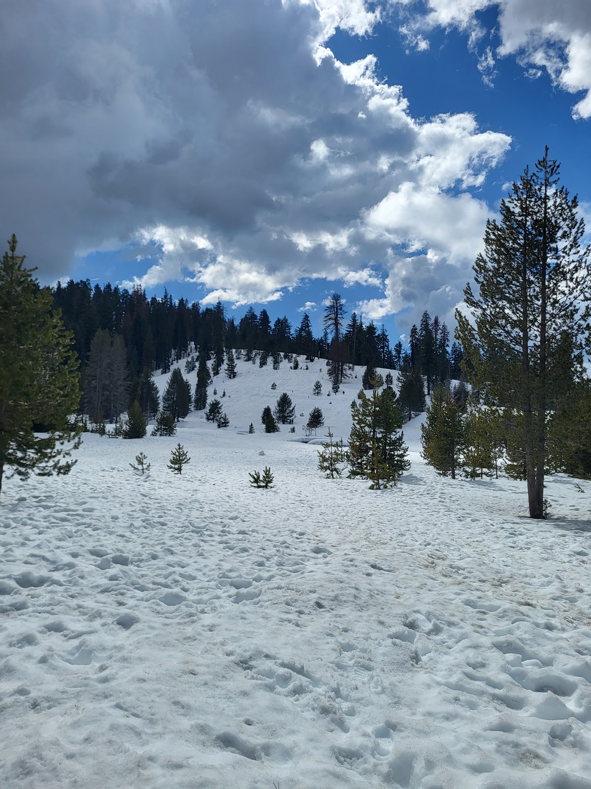 Wolverton Stock Campsites