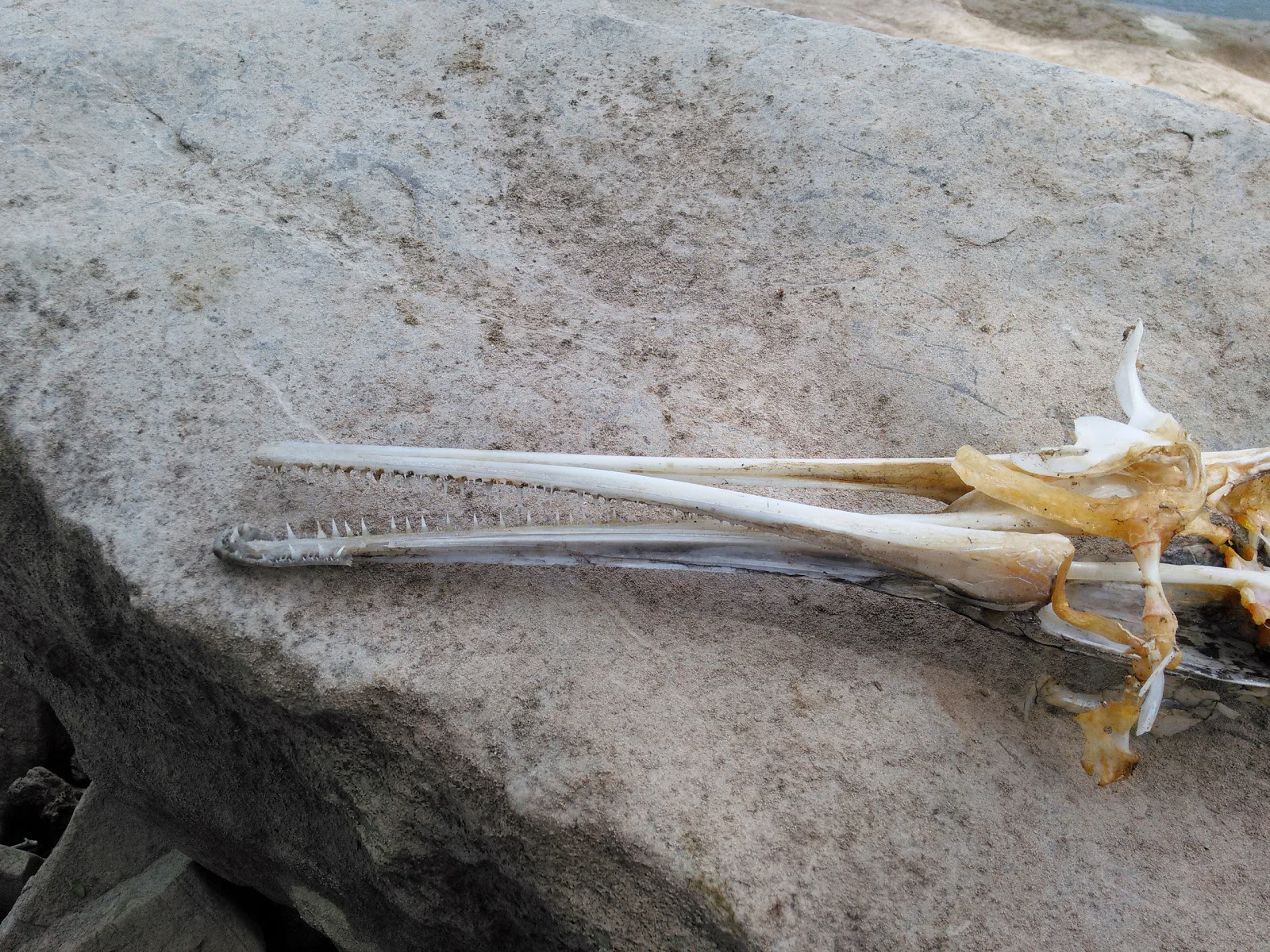 Point Return Campground