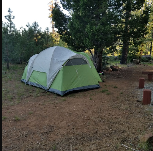 Bear Valley Campground