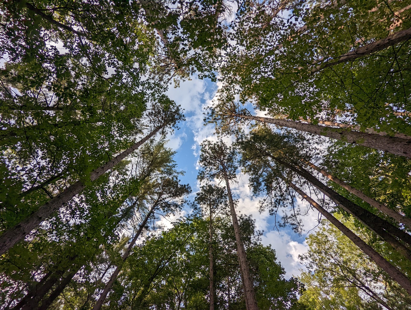 Little Bass Lake NF Campground