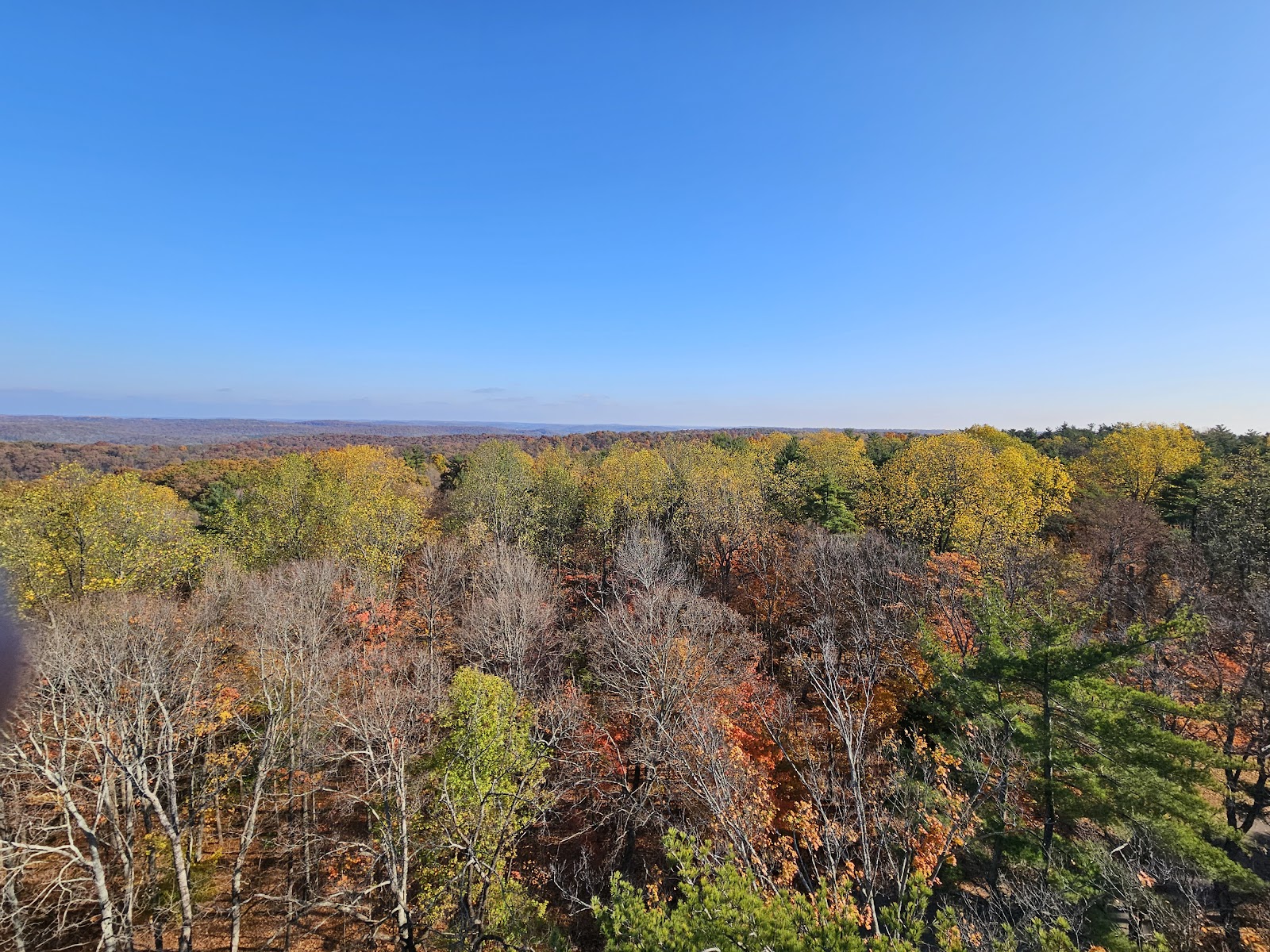Harrison-Crawford State Forest