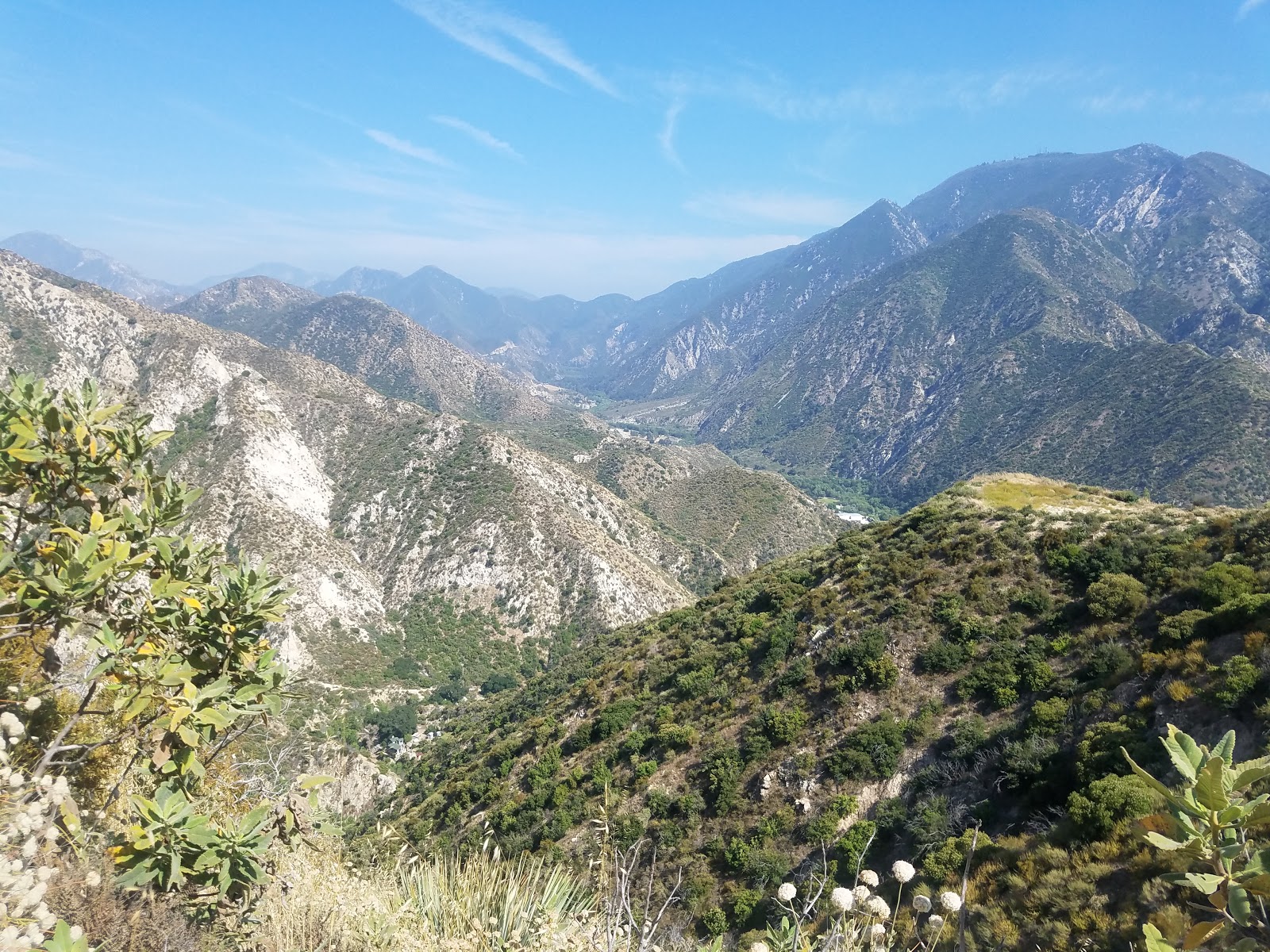 Tom Lucas Trail Campground