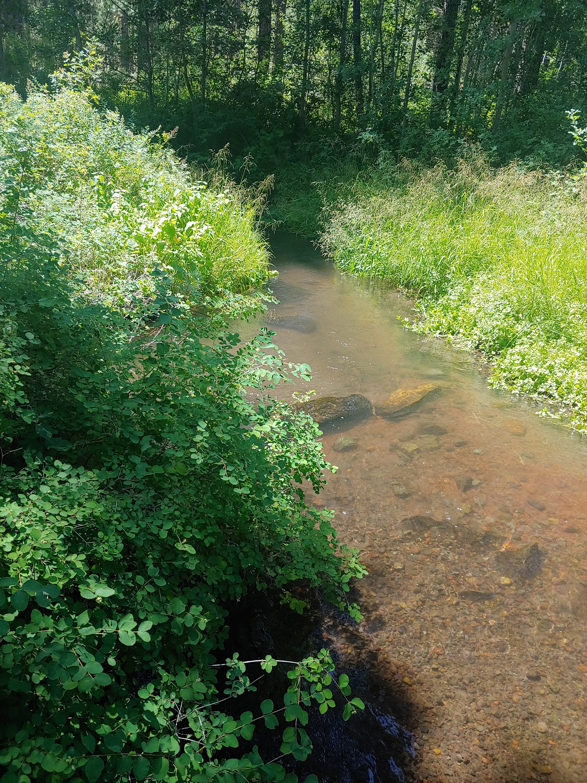 Indian Ford Campground