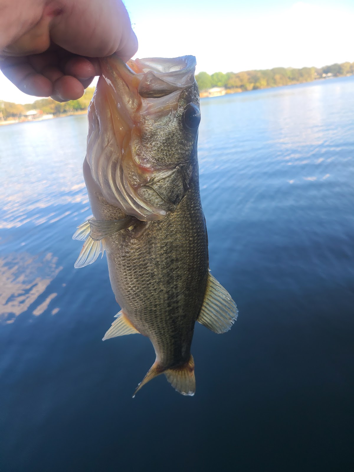 La Mancha Lake Ranch