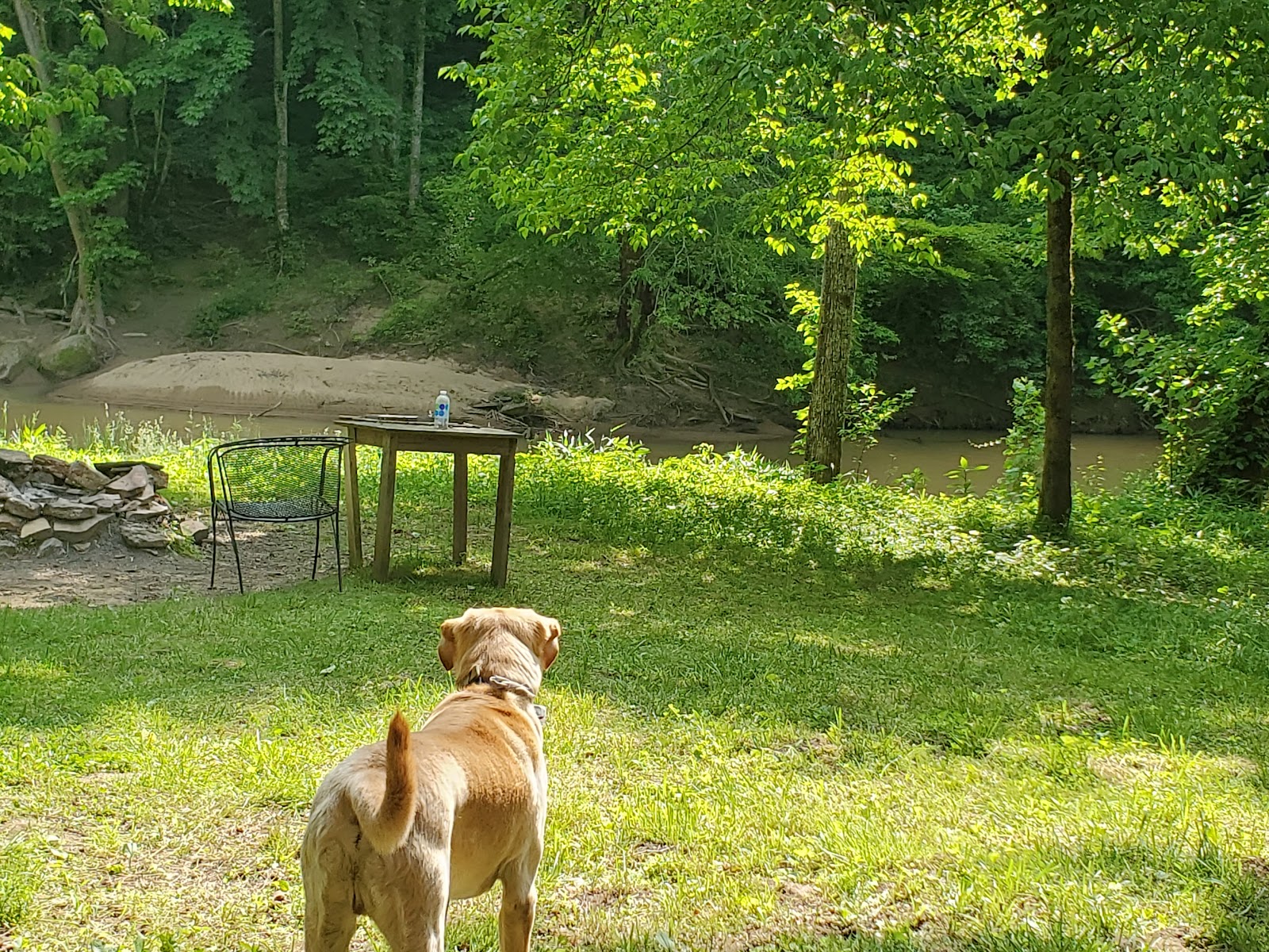 Pumpkin Bottom in the Red River Gorge