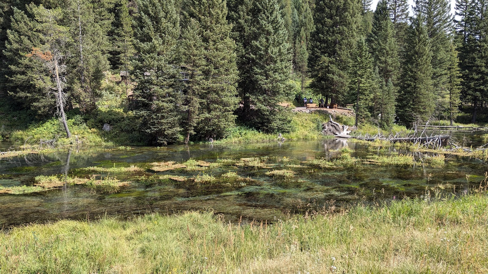 Big Springs Grp. Area - Island Park