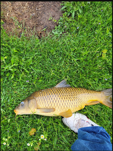 Sally Buffalo Campground
