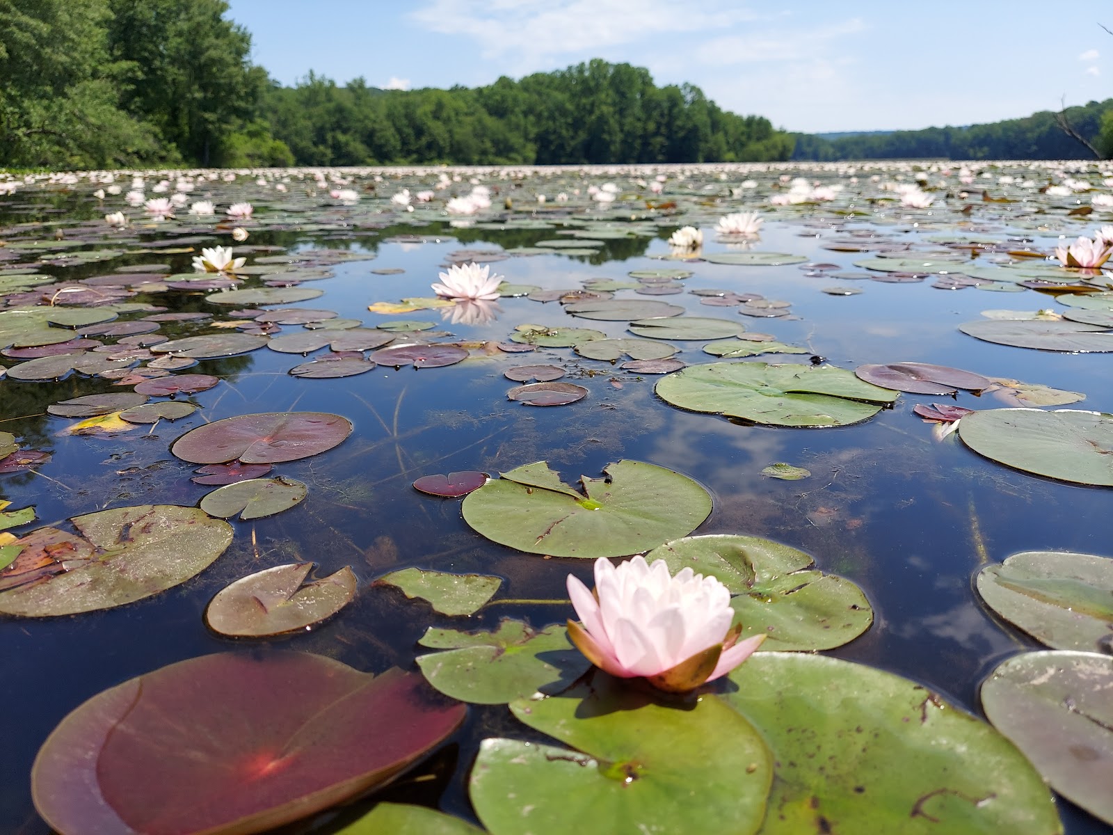 French Creek State Park