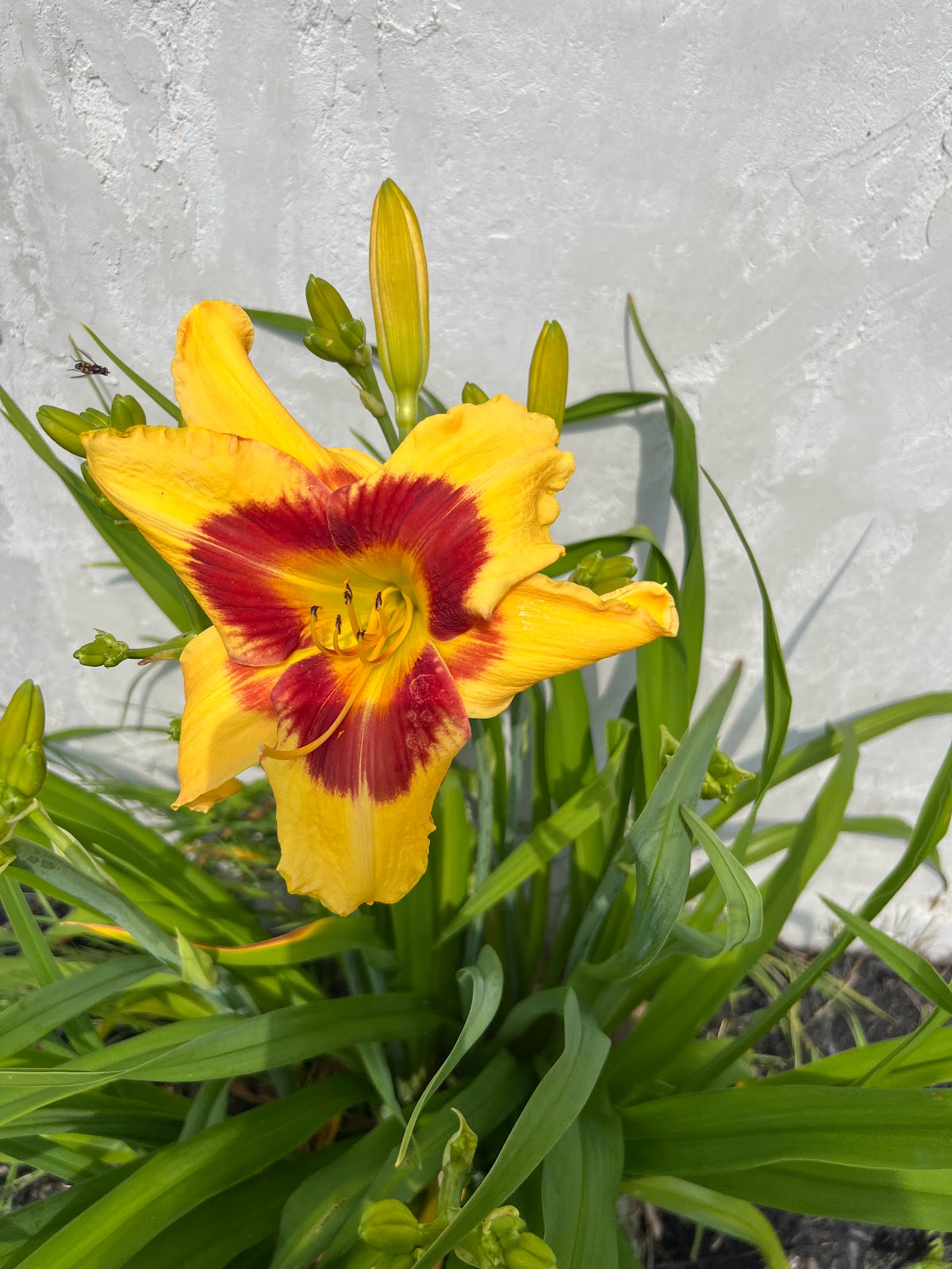 Up The Creek Campgrounds