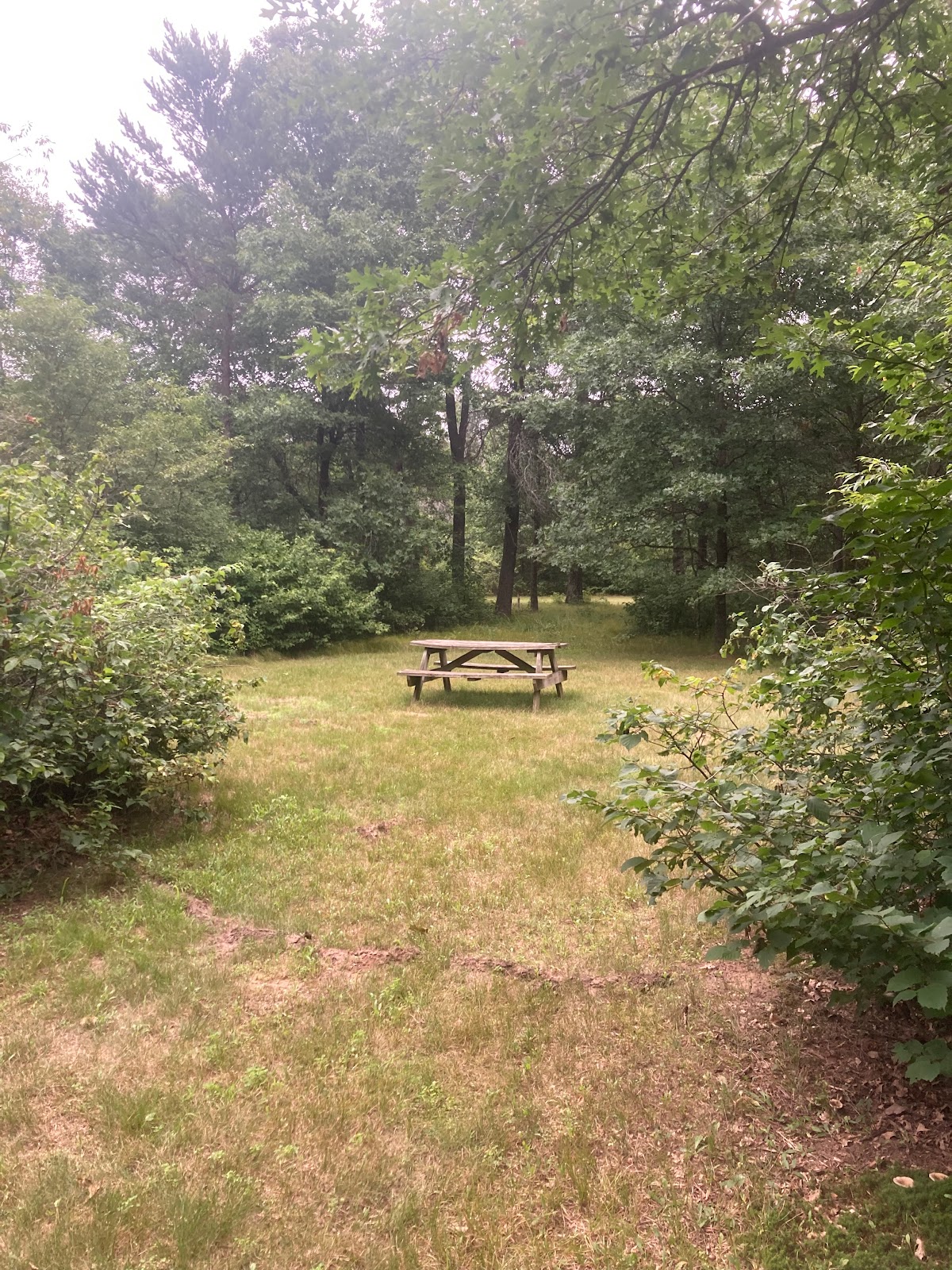 Moonlite Trails Campground LLC