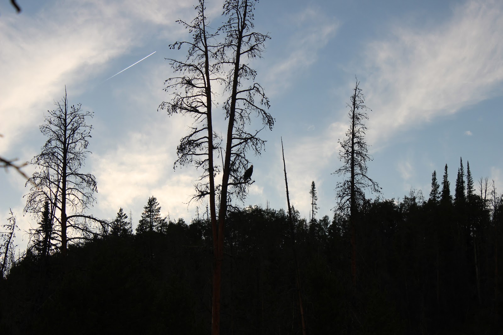 Little Lyman Lake Campground