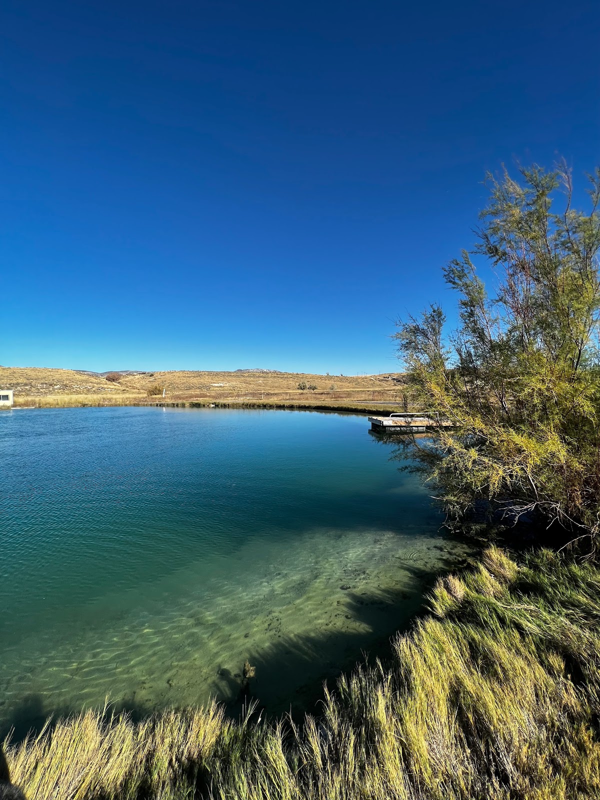 Camperworld-Hot Springs