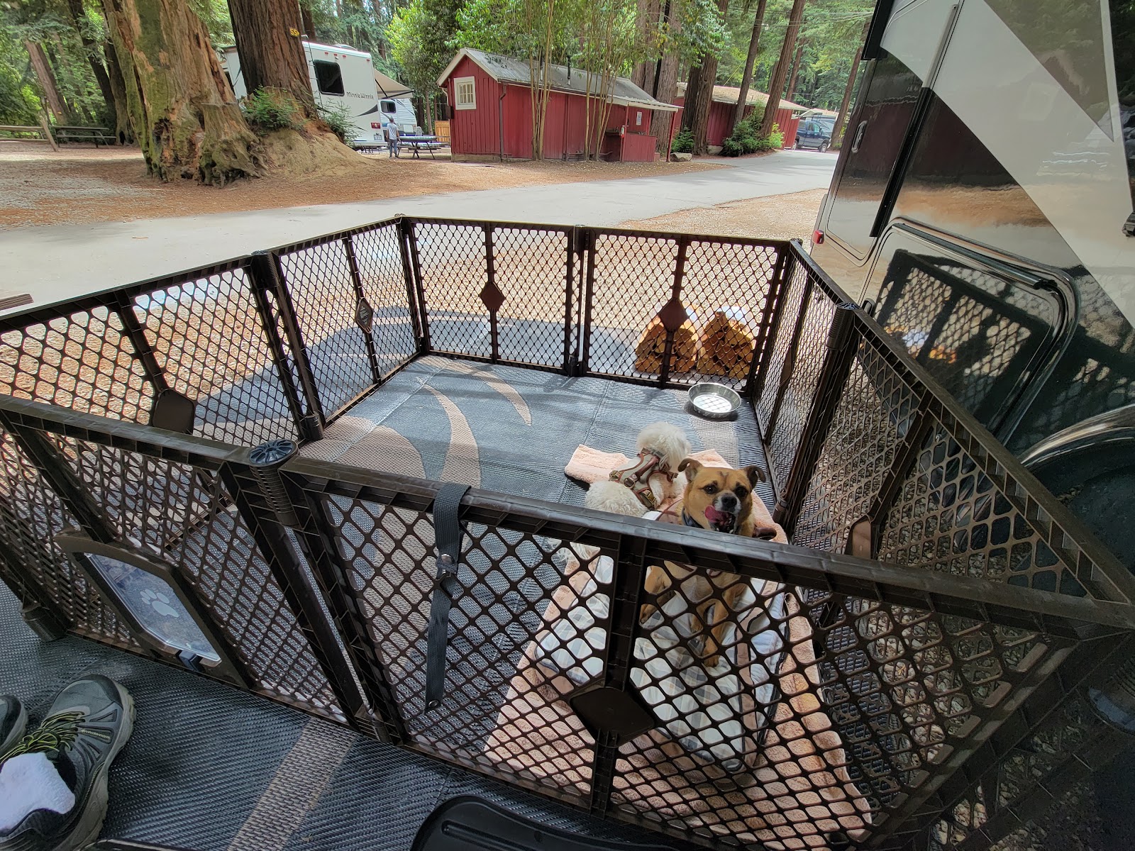 Santa Cruz Redwoods RV Resort