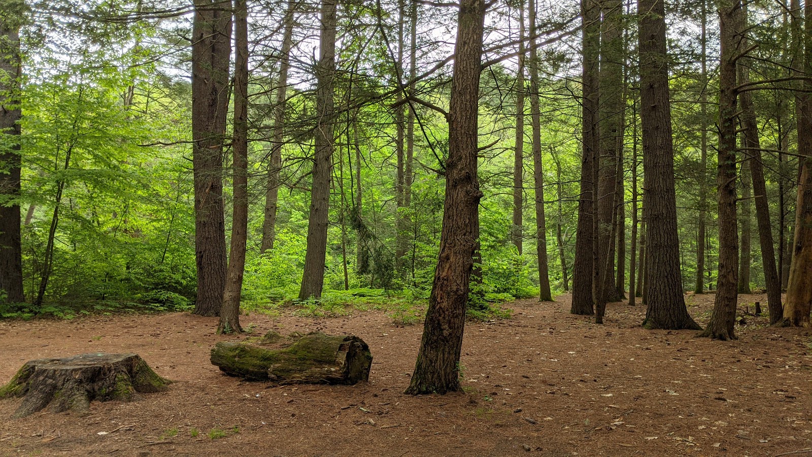 Austin Hawes Campground