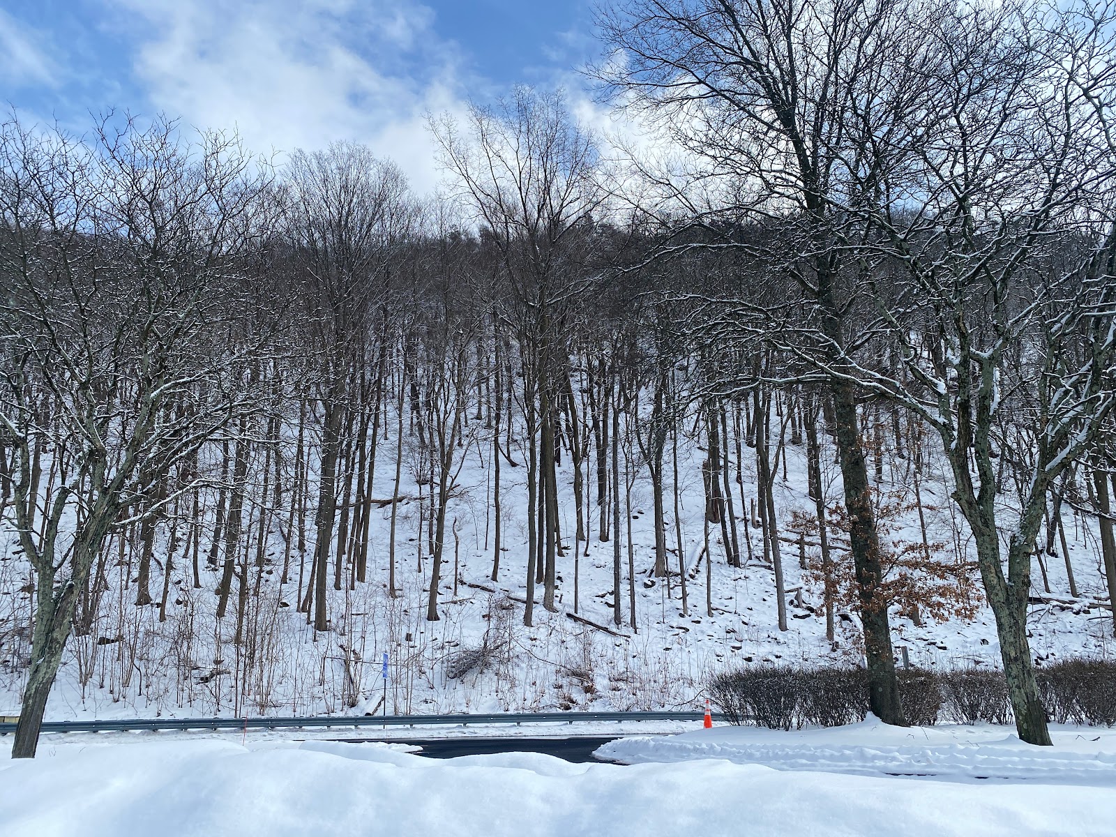 Middletown Rest Area