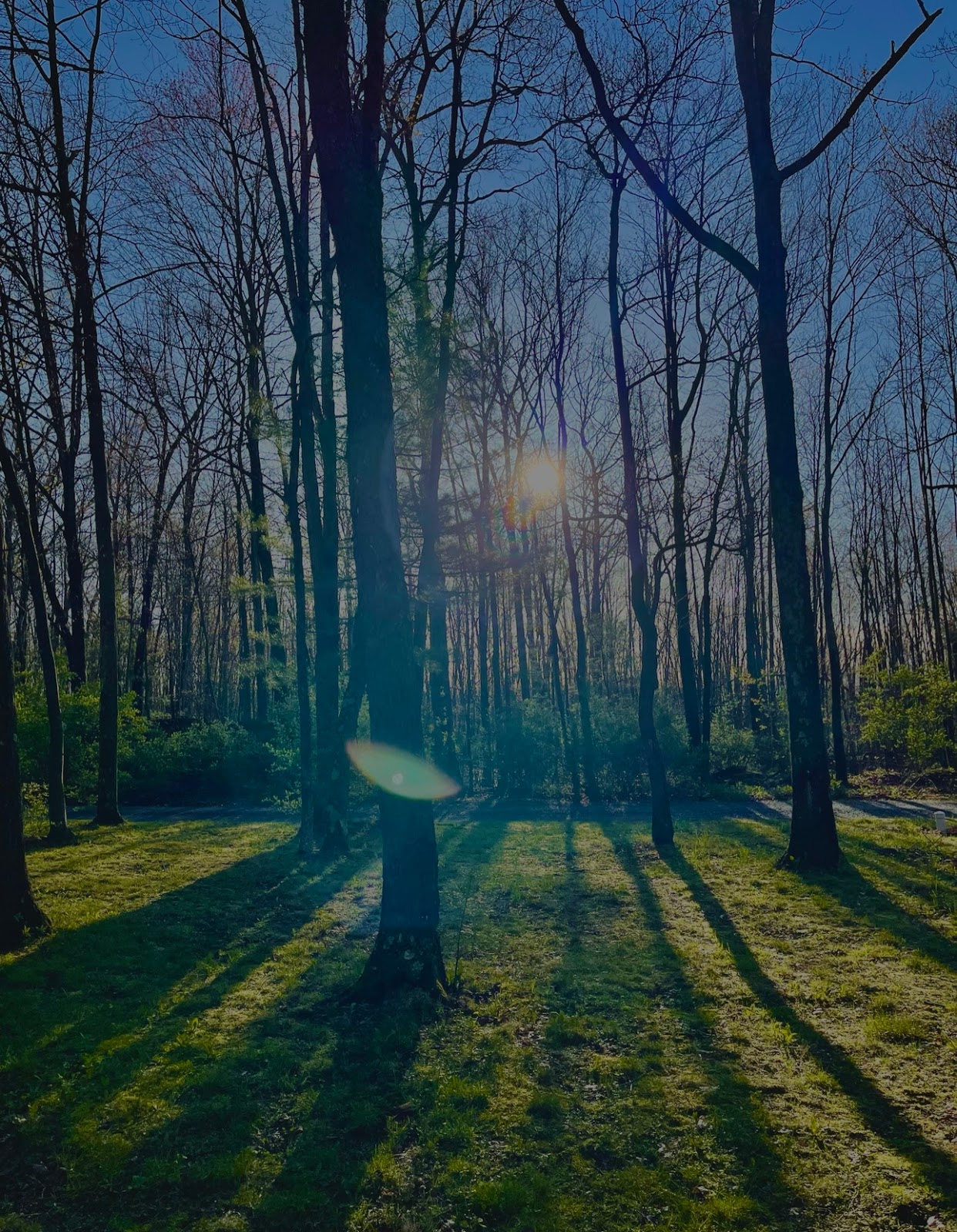 Holiday Pines Campgrounds