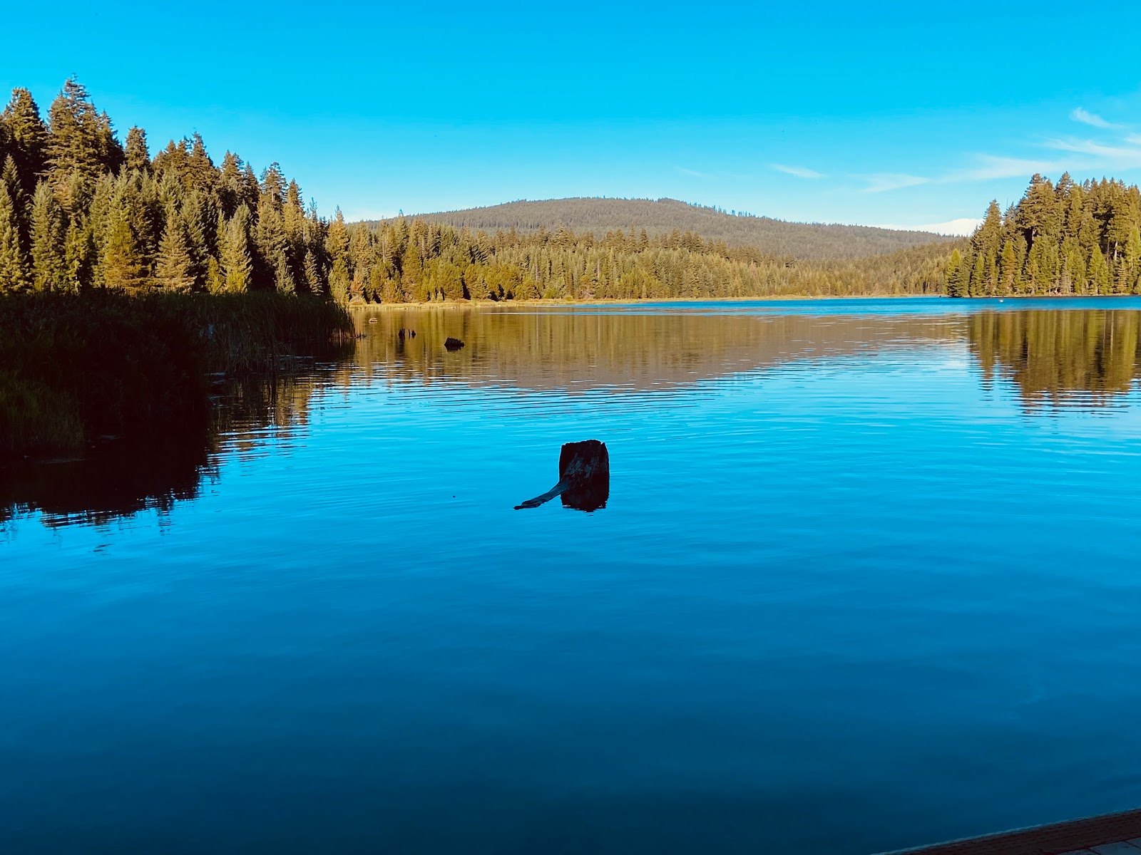 North Arm Campground
