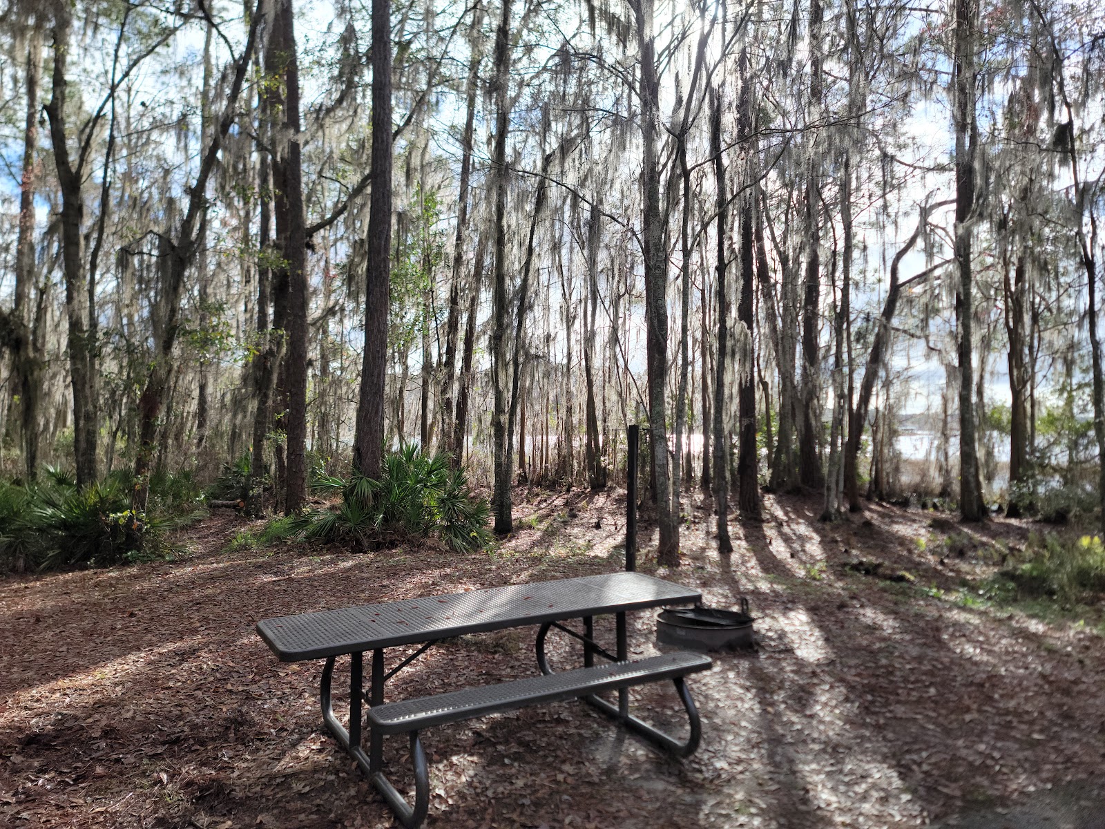 Ocean Pond NF Campground