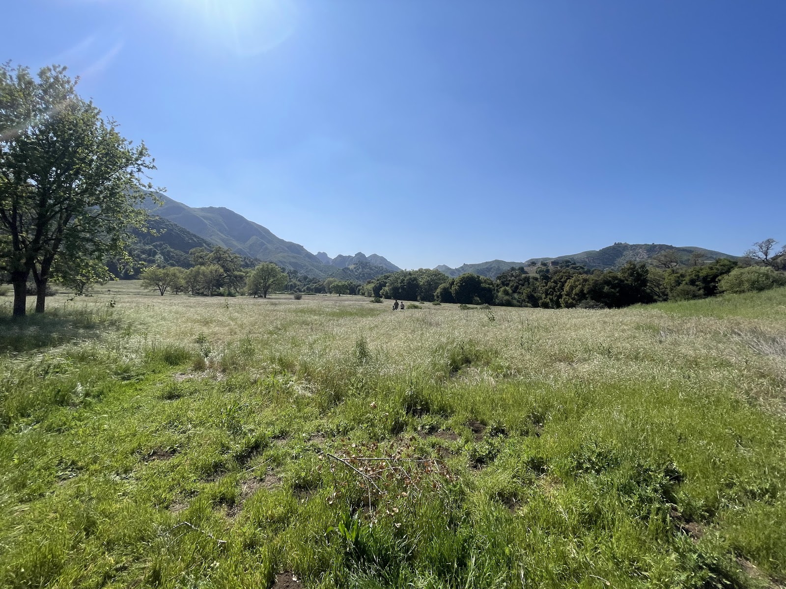 Malibu Creek State Park - Family Camp