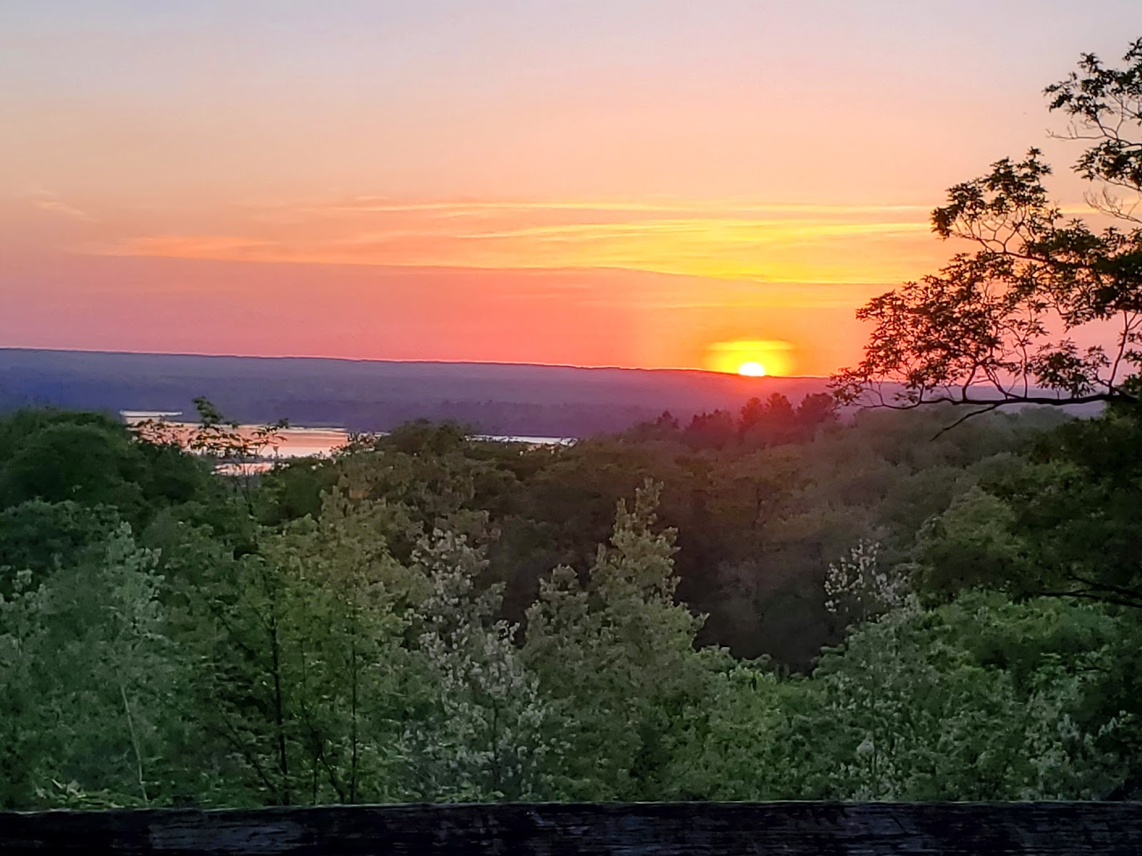 Alcona Canoe Rental & Campground