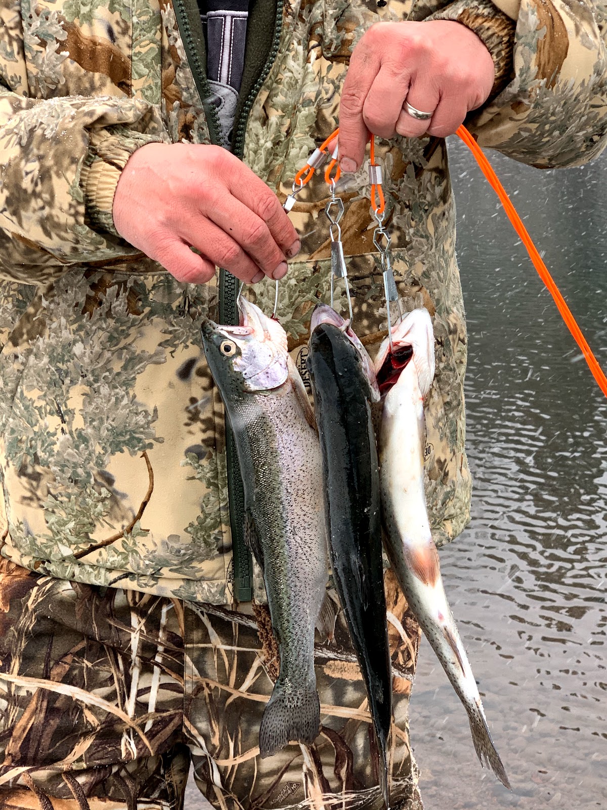 Fish Lake Campground – Rogue River