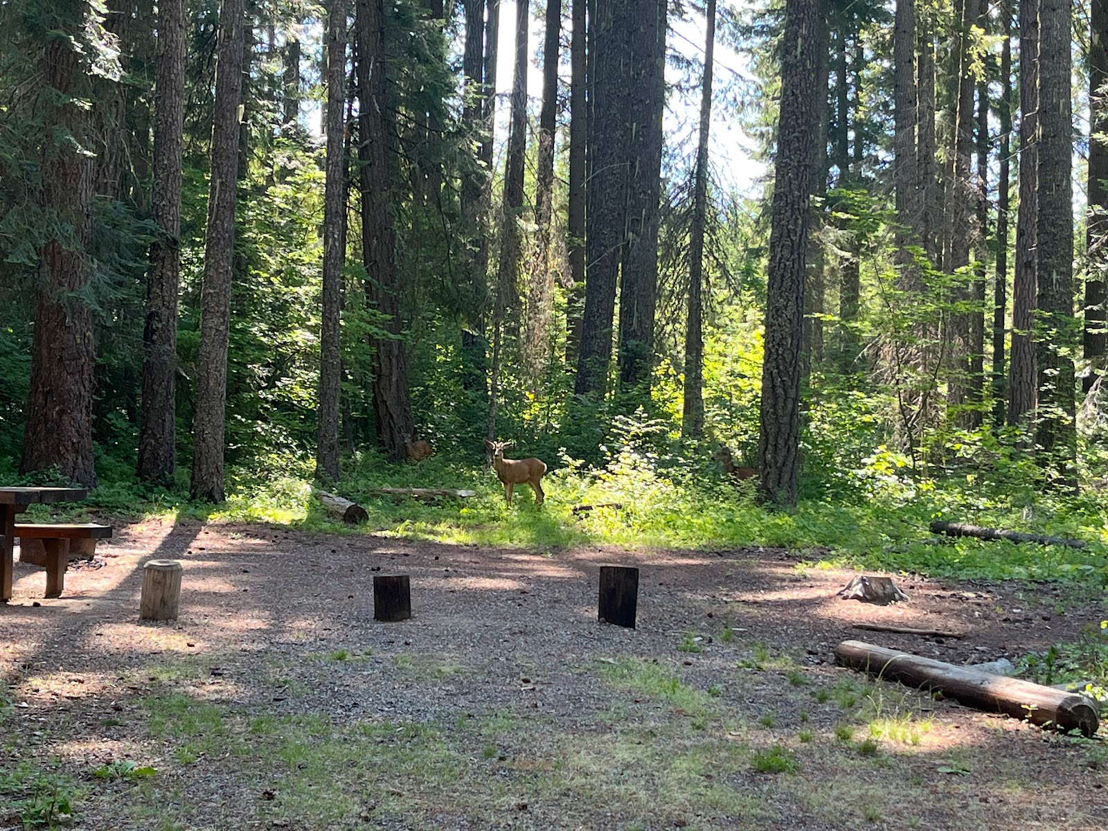 Wish Poosh Campground