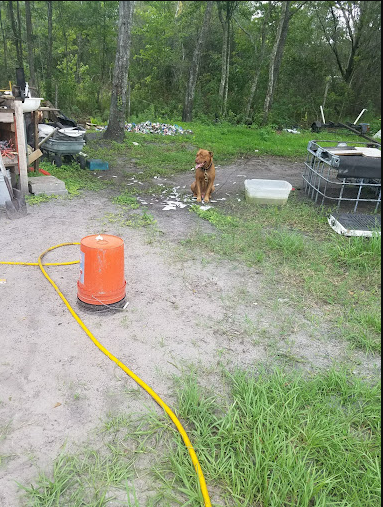 Gator Creek Campground