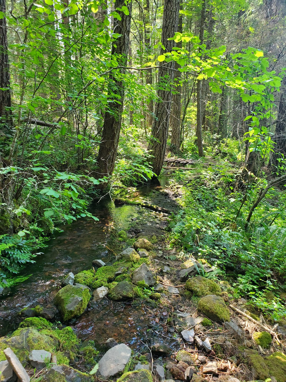 Whiskey Spring Campground